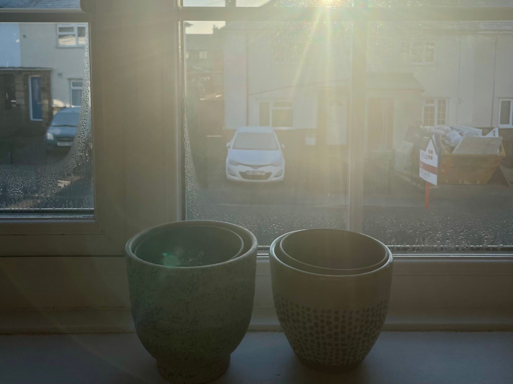 I lost 2 pregnancies during the first year of my&nbsp;PhD