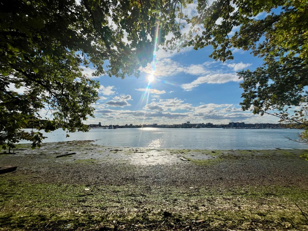 Powering through PhD progression&nbsp;reviews